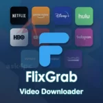 FlixGrab Premium 5.5.6 License Number ดาวน์โหลดด้วยแคร็ก [2023]