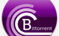BitTorrent Pro 44.0.1.3 Crack With Serial Key ดาวน์โหลดได้ตลอดชีพ